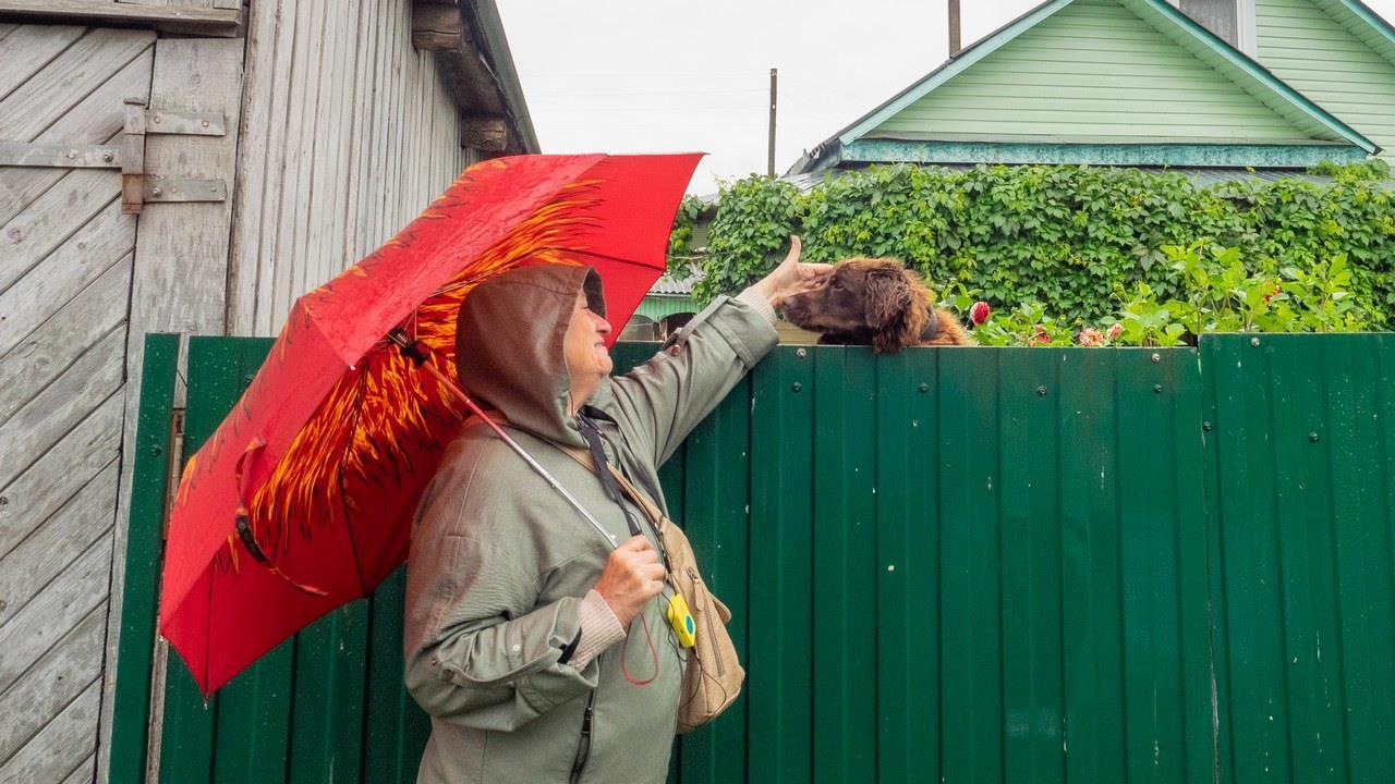 35. Внештатный сотрудник